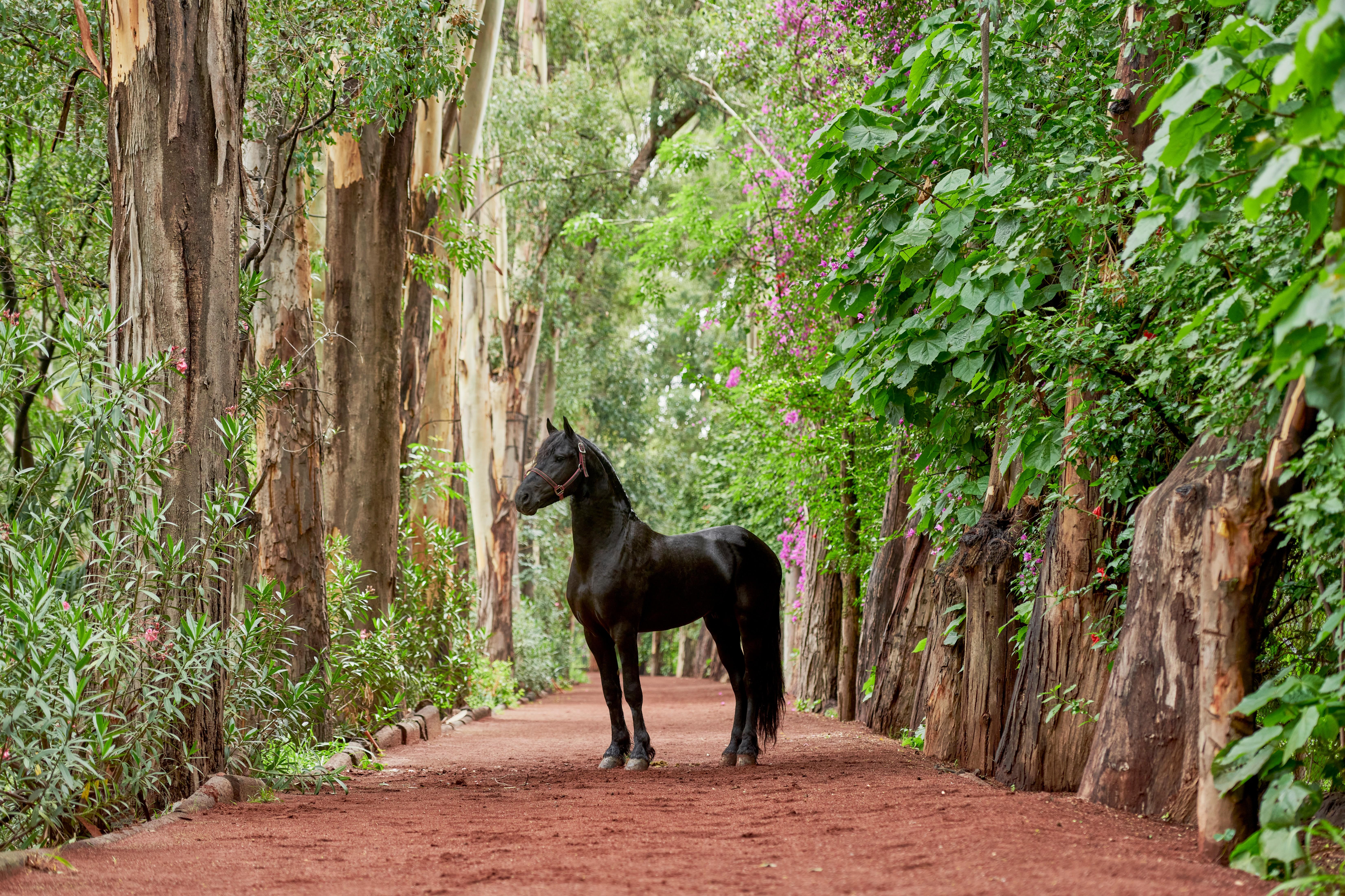 Fiesta Americana Hacienda Galindo Resort & Spa Екстериор снимка